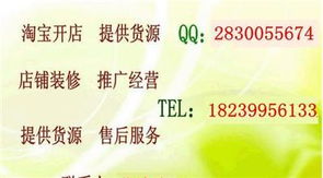 淘寶創業全攻略 從開店、推廣到專業培訓，解鎖網店經營核心技術